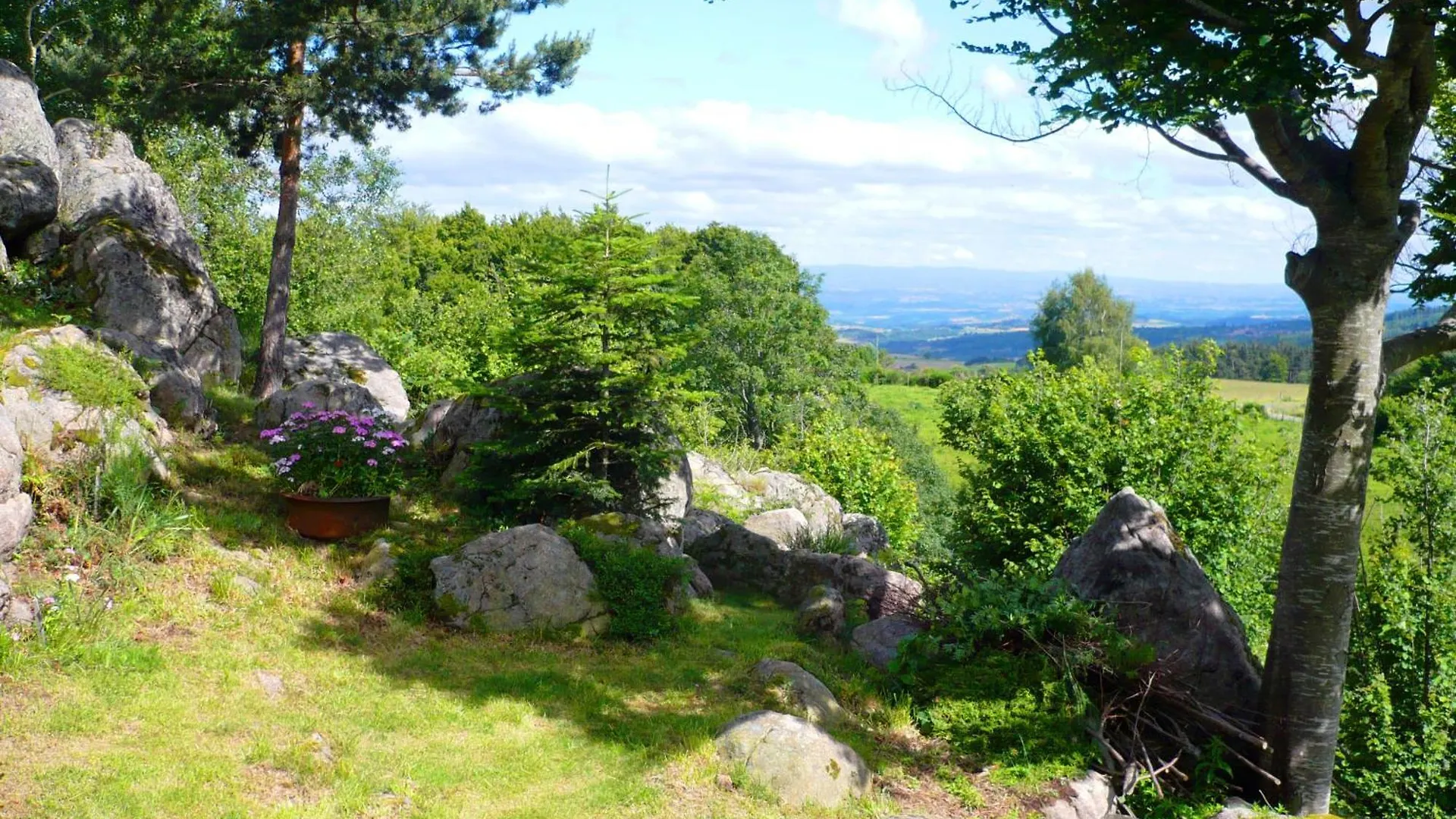 Gite La Fougere Vue Sur La Campagne Verrieres-en-Forez